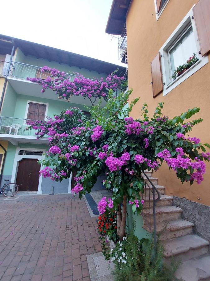La Bougainville - Luxury Apartment Torbole Sul Garda Exteriér fotografie